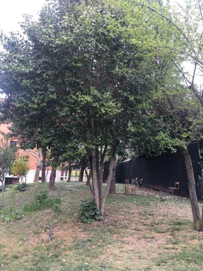 Apartmán Tra S.Orsola E Fiera Boloňa Exteriér fotografie